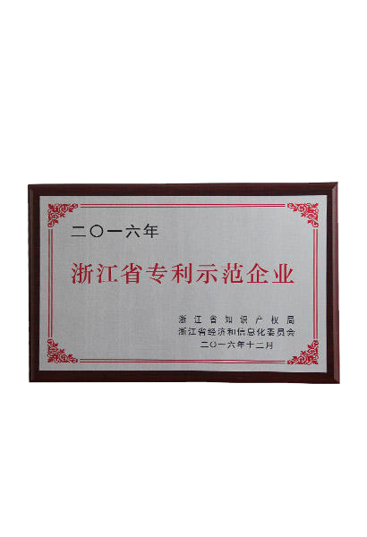 Zhejiang Patent Demonstration Enterprise